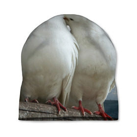 Шапка 3D с принтом Голубь в Смоленске, 100% полиэстер | универсальный размер, печать по всей поверхности изделия | 3д | голубь | животные | новые | птицы