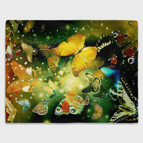 Плед 3D с принтом Бабочки в Смоленске, 100% полиэстер | закругленные углы, все края обработаны. Ткань не мнется и не растягивается | разноцветный | яркие