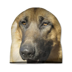 Шапка 3D Овчарка: в Смоленске, 100% полиэстер | универсальный размер, печать по всей поверхности изделия | овчарка | овчарки | собака | собаки