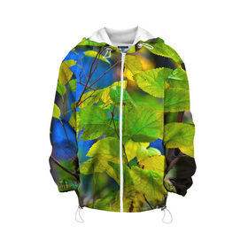 Детская куртка 3D Листва: в Смоленске, 100% полиэстер | застежка — молния, подол и капюшон оформлены резинкой с фиксаторами, по бокам — два кармана без застежек, один потайной карман на груди, плотность верхнего слоя — 90 г/м2; плотность флисового подклада — 260 г/м2 | Тематика изображения на принте: береза | деревья | листья | осень | природа