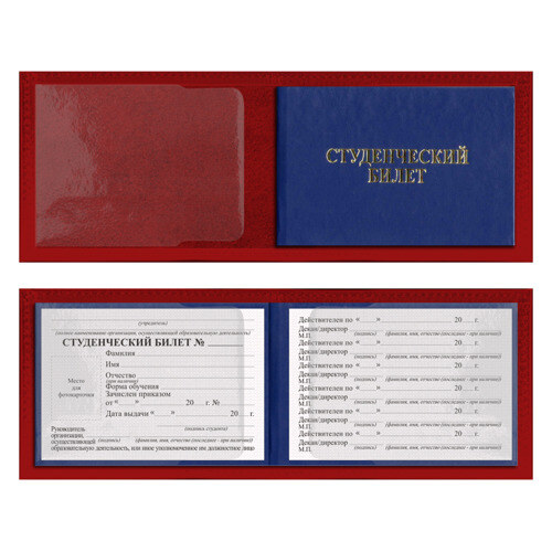 Обложка для студенческого билета KIMETSU NO YAIBA фото